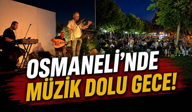Osmaneli'nde Müzik Dolu Gece!