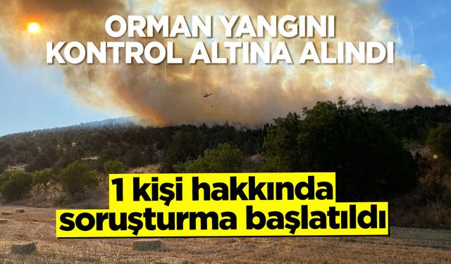Bilecik'te Orman Yangını Kontrol Altına Alındı: 1 kişi hakkında soruşturma başlatıldı