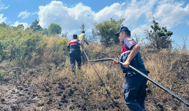 Pazaryeri’nde Ormanlık Alanda Çıkan Yangın Kontrol Altına Alındı