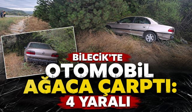 Bilecik'te Otomobil Ağaca Çarptı: 4 Yaralı