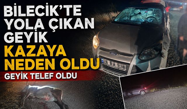 Bilecik'te Yola Çıkan Geyik Kazaya Neden Oldu