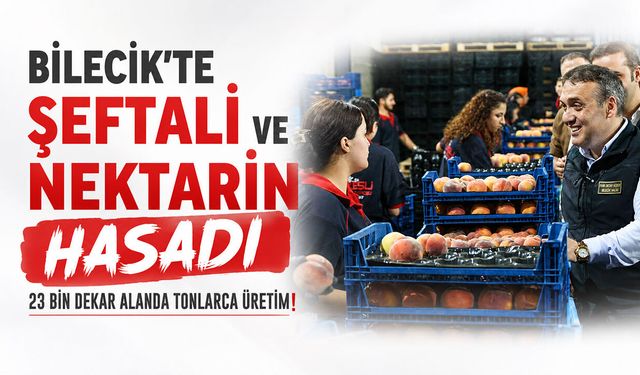 Vali Sözer, Şeftali ve Nektarin Hasadına Katıldı, Üreticileri Dinledi