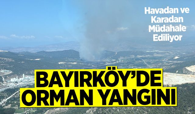 Bayırköy’de Orman Yangını: Havadan ve Karadan Müdahale Ediliyor
