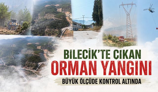 Bilecik'te çıkan Orman Yangını Büyük Ölçüde Kontrol Altında