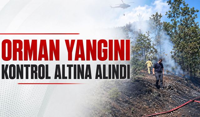 Orman yangını kontrol altına alındı