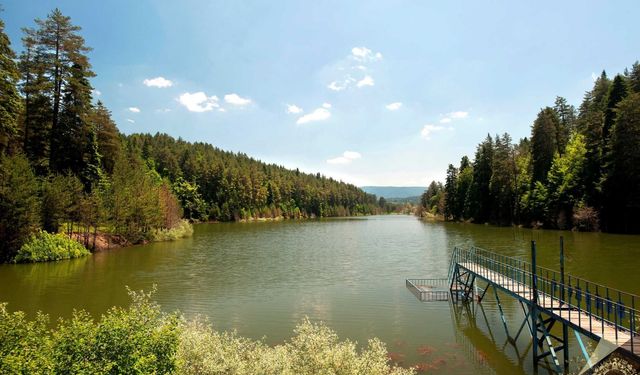 Bozcaarmut Göleti’nde Doğayla Baş Başa
