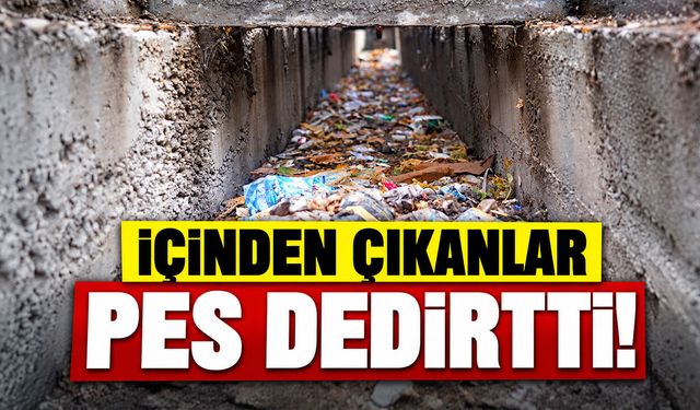 İÇİNDEN ÇIKANLAR PES DEDİRTTİ!