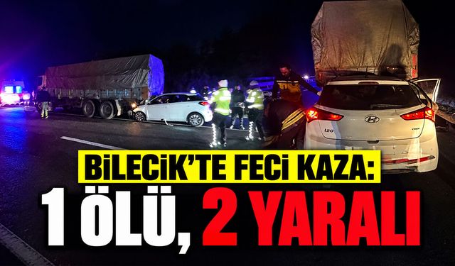 Bilecik'te Feci Kaza: 1 ölü, 2 Yaralı