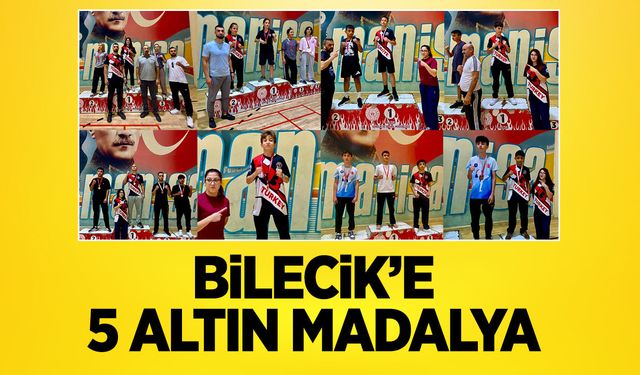 Bilecik'e 5 altın madalya