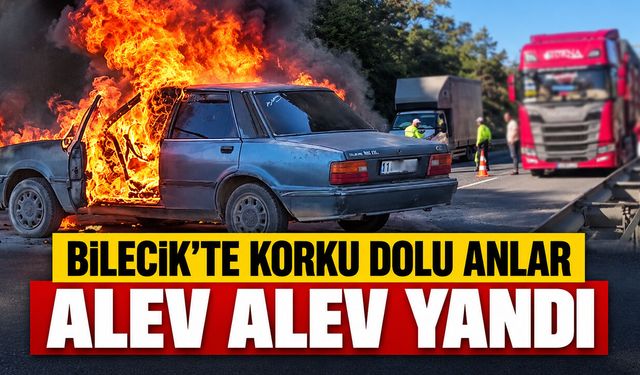 Bilecik'te korku dolu anlar: Alev alev yandı