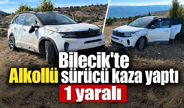 Bilecik'te Alkollü sürücü kaza yaptı: 1 yaralı