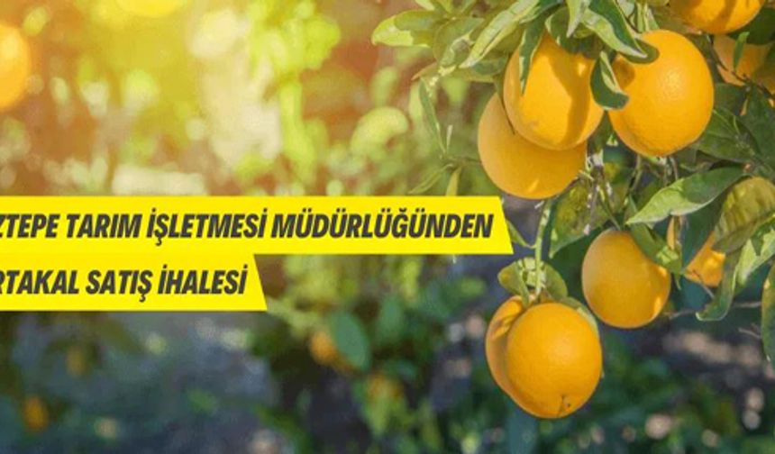 Boztepe Tarım İşletmesi Müdürlüğünden portakal satış ihalesine davet