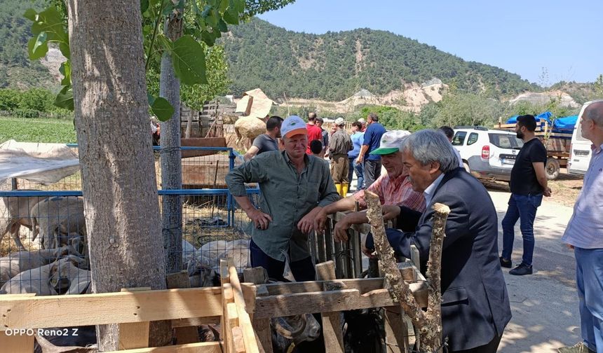 Başkan Şahin kurban pazarında incelemelerde bulundu