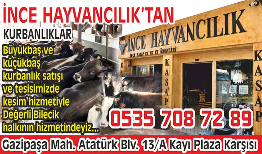 İNCE HAYVANCILIK KURBAN