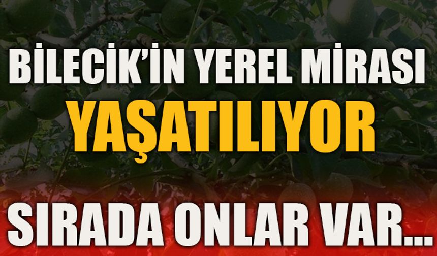 BİLECİK’İN YEREL MİRASI YAŞATILIYOR SIRADA ONLAR VAR…