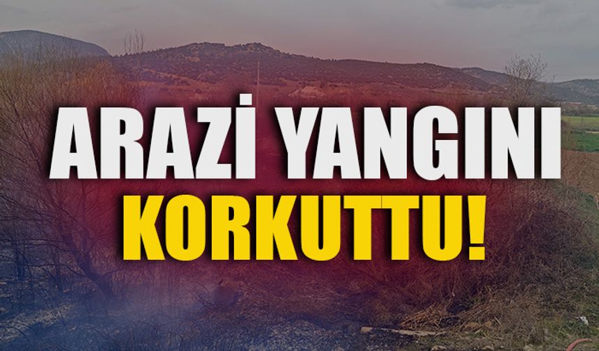 BİLECİK'TE ARAZİ YANGINI KORKUTTU!
