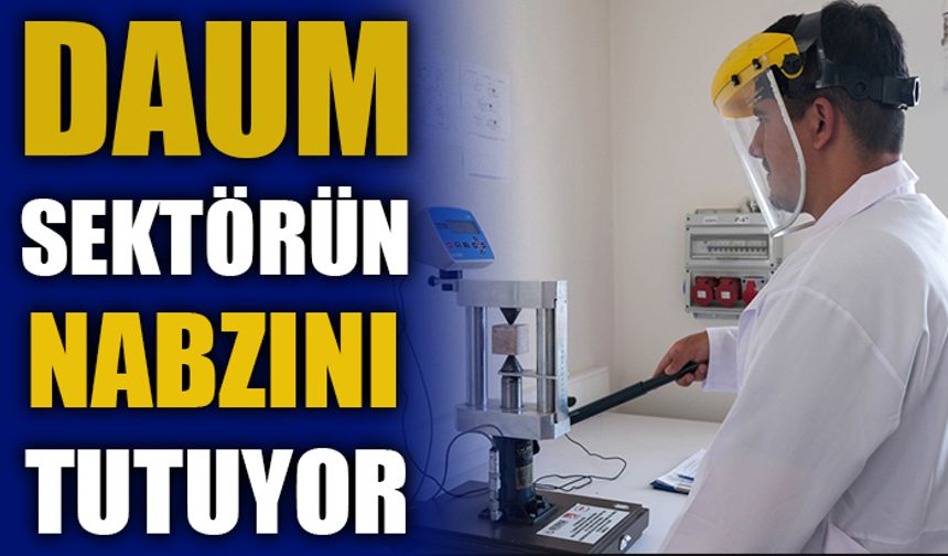 DAUM, SEKTÖRÜN NABZINI TUTUYOR