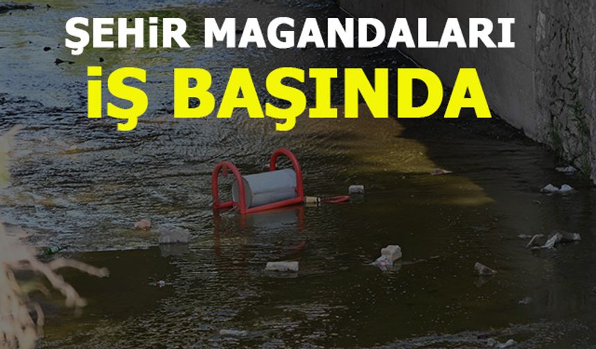 ŞEHİR MAGANDALARI İŞ BAŞINDA
