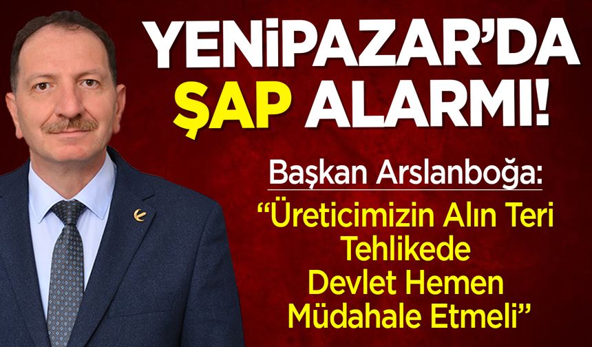 YENiPAZAR’DA ŞAP ALARMI!