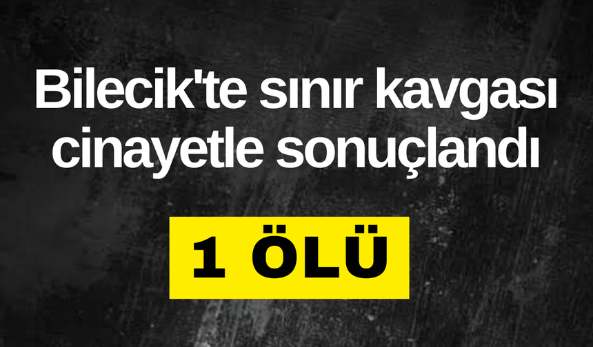 Bilecik'te sınır kavgası cinayetle sonuçlandı