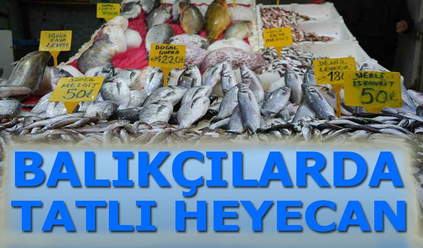 Bilecik'te Balıkçılarda Tatlı Heyecan