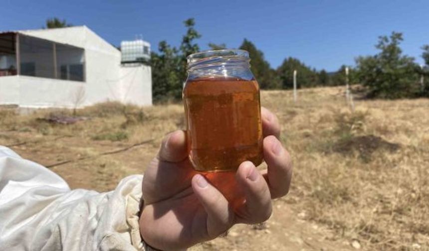Komşuda 2 bin 925 prolin değeri ile dünyanın en iyi balı üretildi