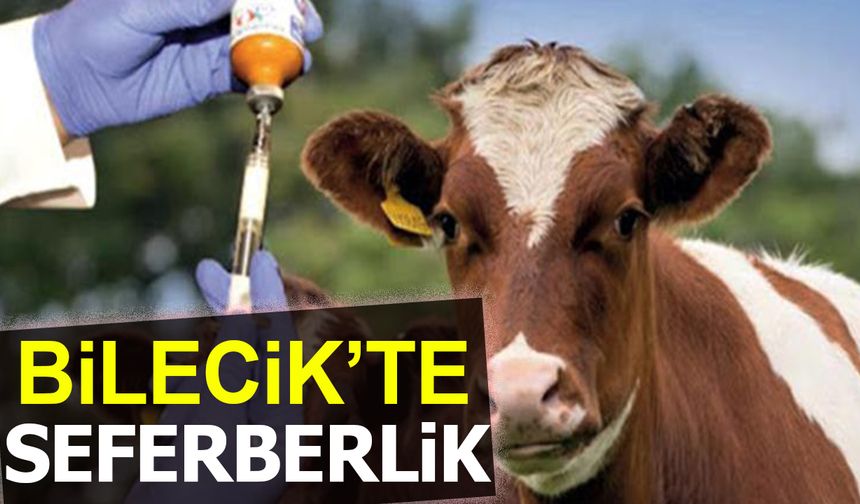 BİLECİK’TE ŞAP HASTALIĞINA KARŞI AŞILAMA SEFERBERLİĞİ BAŞLADI!