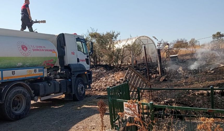 Tarlada başlayan yangın rüzgarın etkisiyle seraya sıçradı
