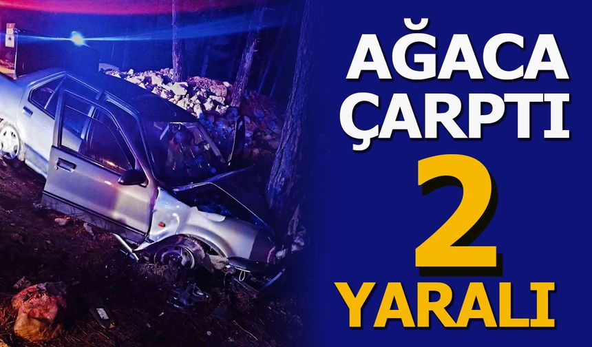 AĞACA ÇARPTI 2 YARALI