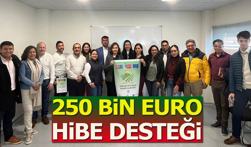 250 Bin Euro Hibe Desteği