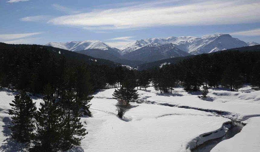 Kar yağışı sonrası Akdağ Tabiat Parkı'nda masalsı kış görüntüsü