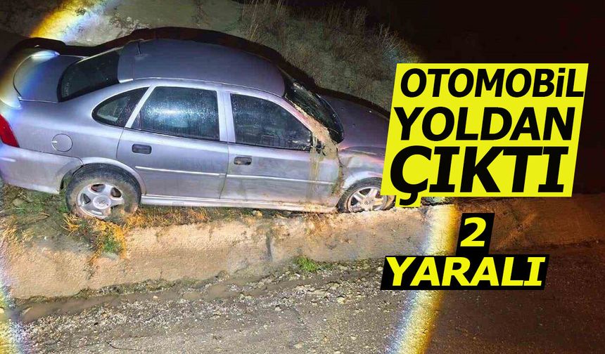 Otomobil yoldan çıktı: 2 yaralı