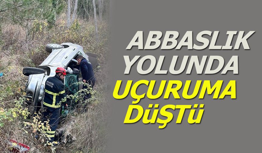 Abbaslık Yolunda Uçuruma Düştü