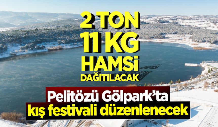 Pelitözü Gölpark'ta kış festivali düzenlenecek