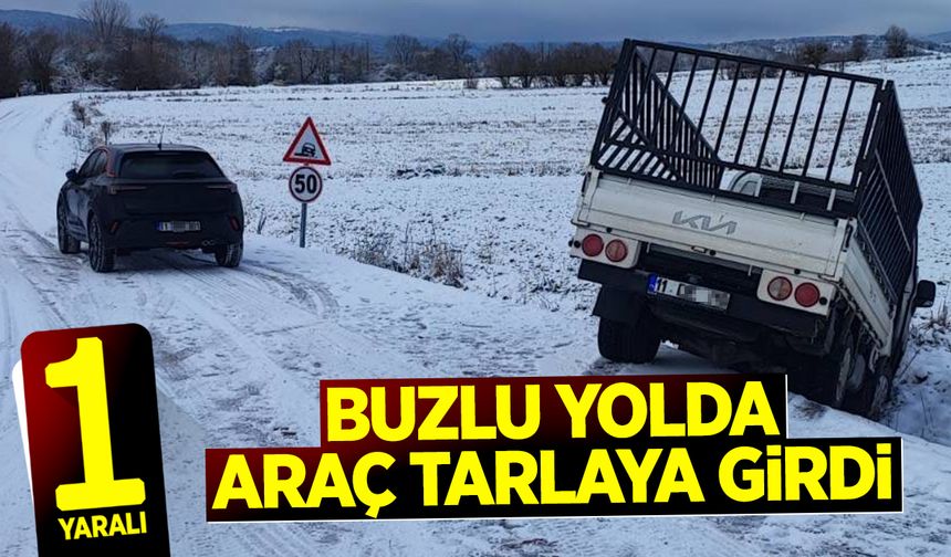 Buzlu Yolda Araç Tarlaya Girdi: 1 Yaralı