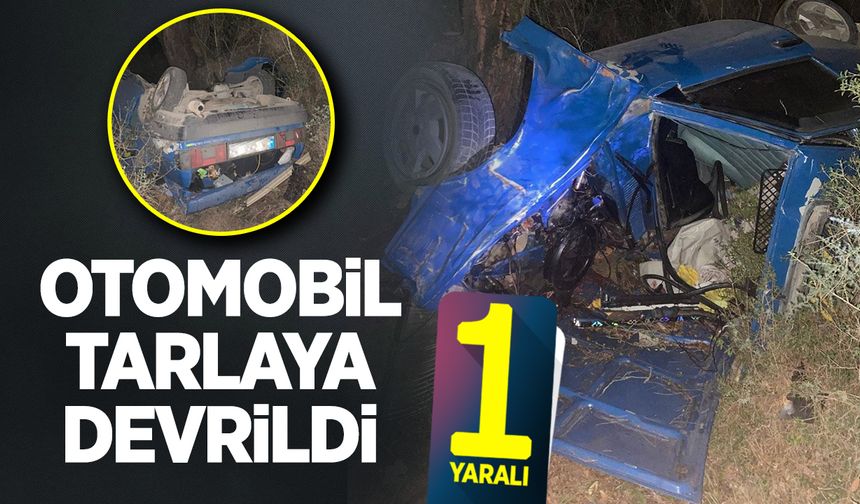 Otomtobil tarlaya devrildi: 1 Yaralı