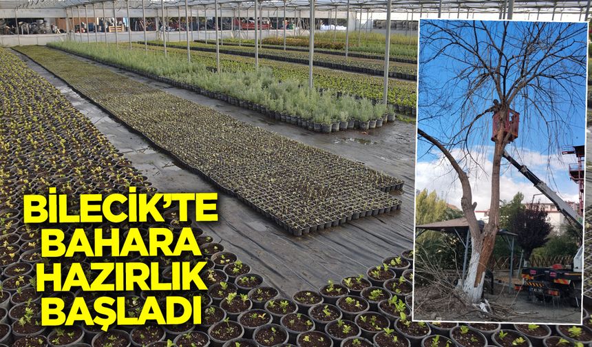 Bilecik'te bahara hazırlık başladı