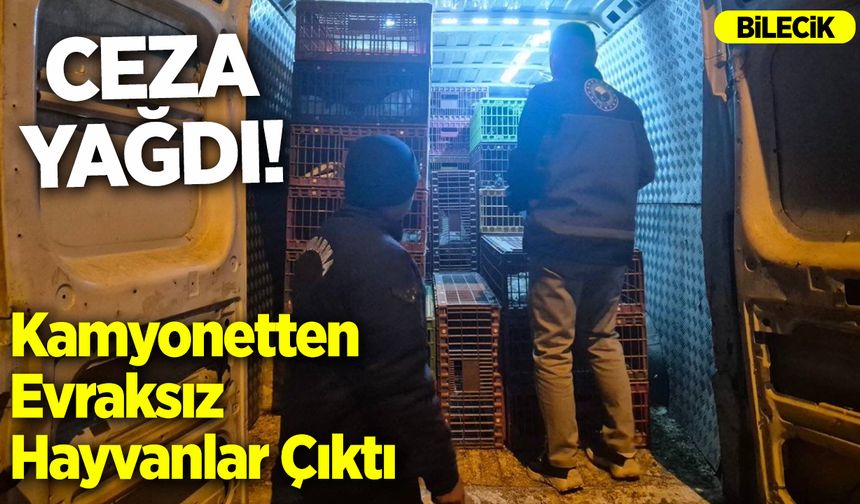 Kamyonetten Evraksız Hayvan Çıktı