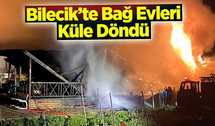 Bilecik’te Bağ Evleri Küle Döndü