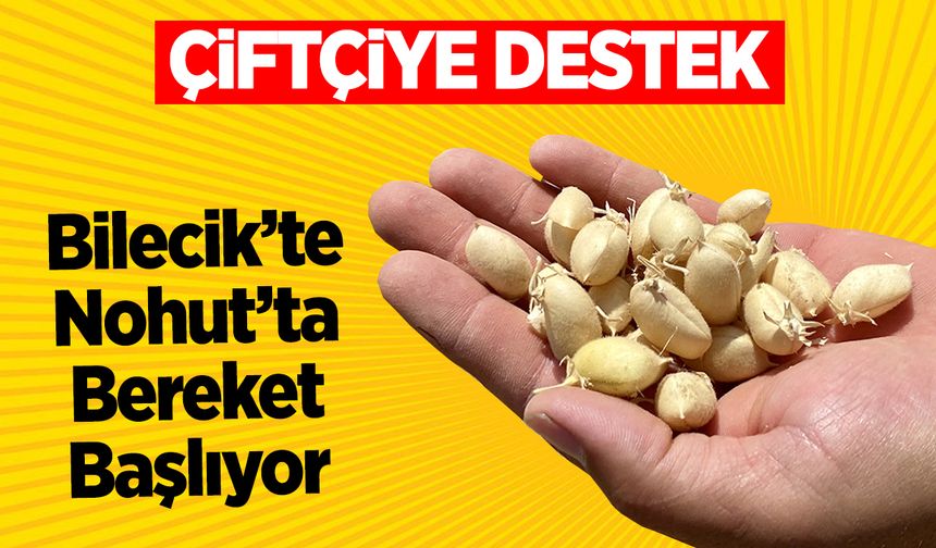 Bilecik’te Nohut'ta Bereket Başlıyor