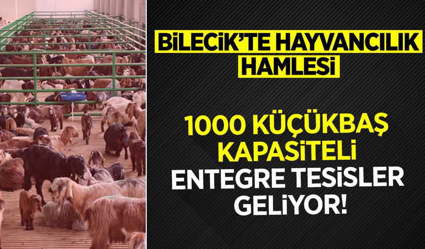 BİLECİK’TE HAYVANCILIK HAMLESİ: 1000 KÜÇÜKBAŞ KAPASİTELİ ENTEGRE TESİSLER GELİYOR!