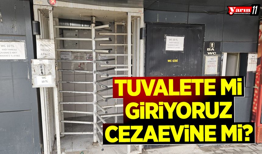Tuvalete mi Giriyoruz, Cezaevine mi?
