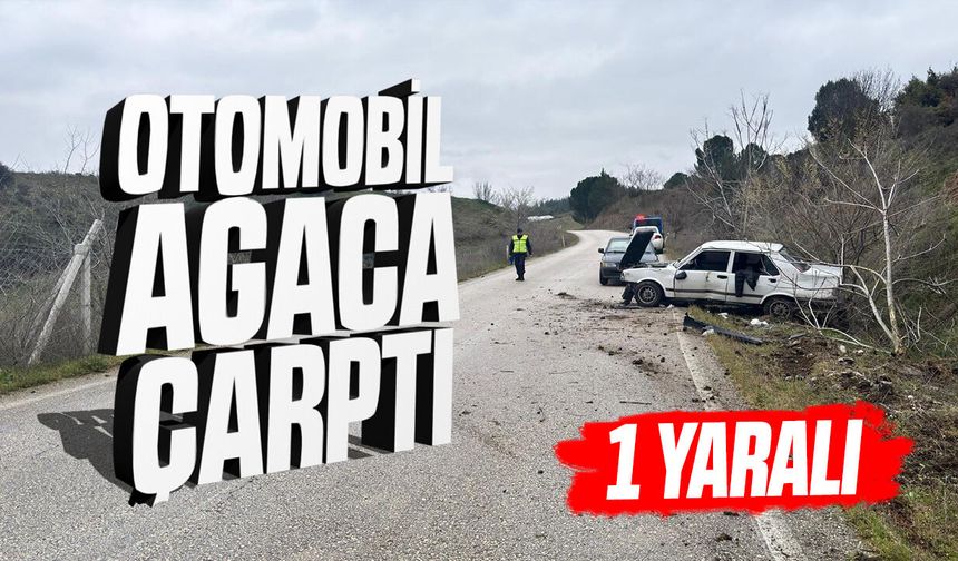 Otomobil Ağaca Çarptı: Sürücü Yaralandı