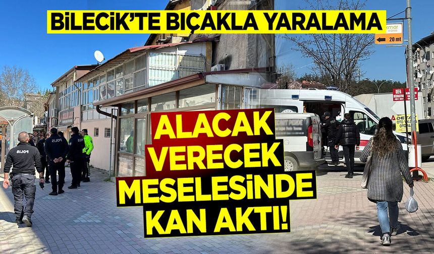 Bilecik'te bıçakla yaralama