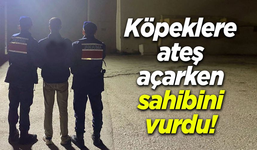 Bilecik'te köpeklere ateş açarken sahibini vurdu!