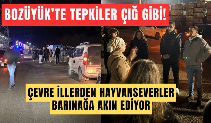 BOZÜYÜK’TE TEPKİLER ÇIĞ GİBİ: ÇEVRE İLLERDEN HAYVANSEVERLER BARINAĞA AKIN EDİYOR!