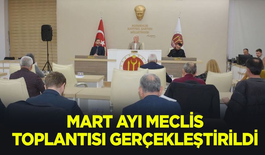 MART AYI MECLİS TOPLANTISI GERÇEKLEŞTİRİLDİ