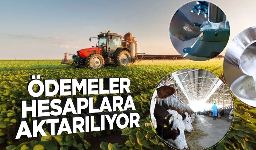 Ödemeler hesaplara aktarılıyor