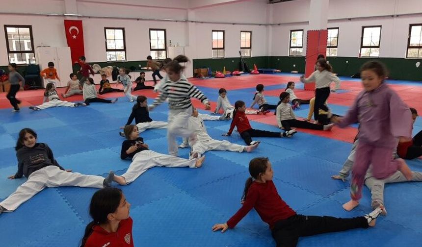 Osmaneli Taekwondo Sporcuları Güç ve Hızla Hazırlanıyor