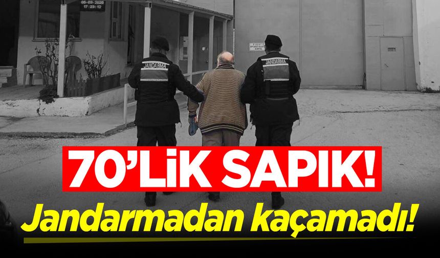 Bilecik'te cinsel saldırı zanlısı jandarmadan kaçamadı